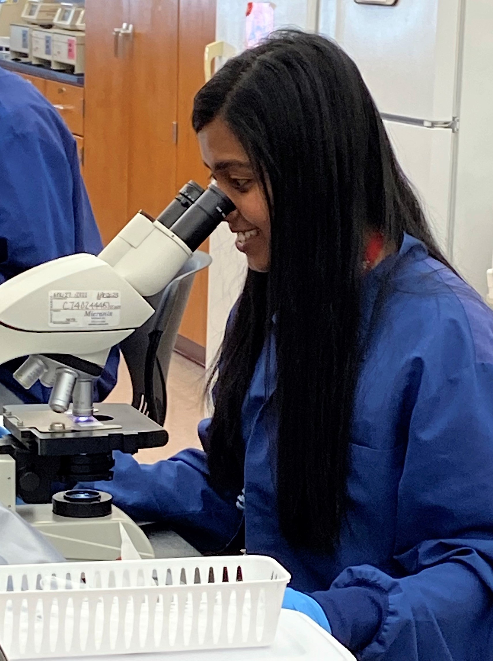 Medical Laboratory Science 