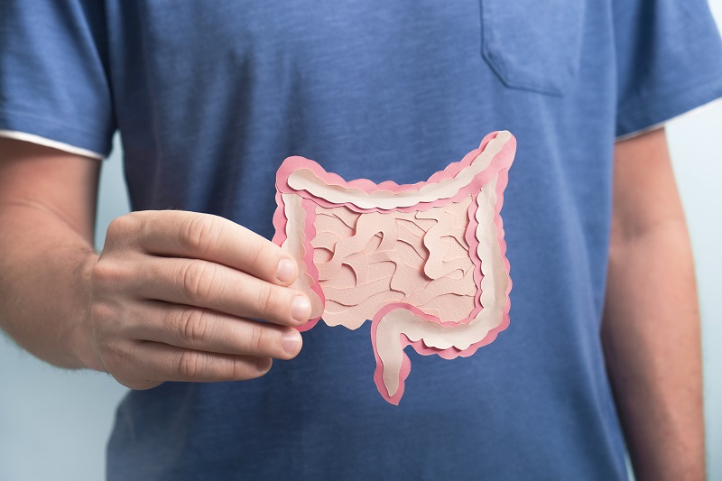 Man holding decorative model intestine, looking at colon health.